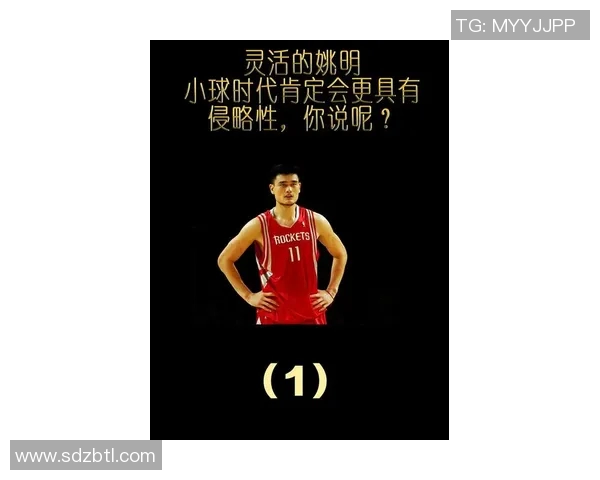 姚明在篮球历史中的阴影形象与影响力的深度解析与反思