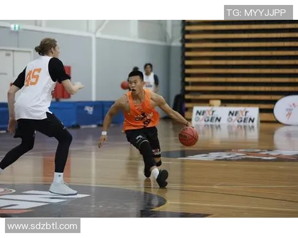 风城篮球明星的崛起与挑战：从街头到职业赛场的传奇之路