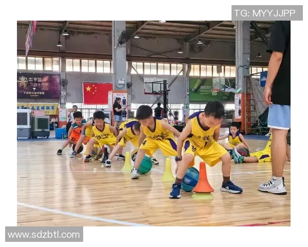 中国十大篮球培训机构排名揭晓助你找到理想的篮球学习之地