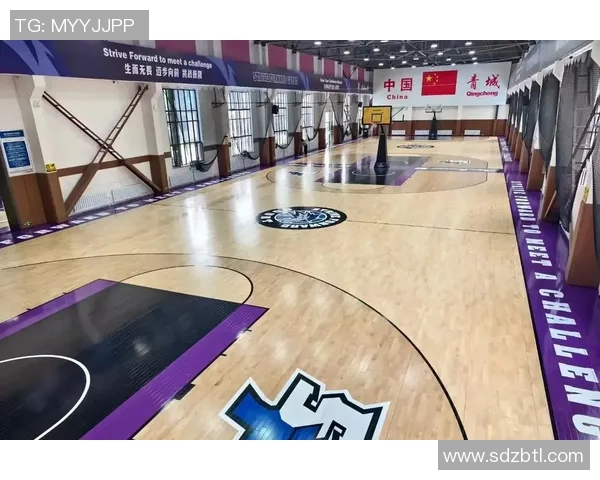 体育运动木地板十大品牌推荐及选购指南助您打造理想运动空间